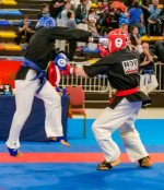 The 16th IKF World Kempo Championships 2019 (Semi-Kempo)