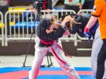The 16th IKF World Kempo Championships 2019 (Submission Kempo)
