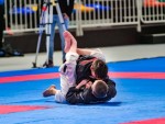 The 16th IKF World Kempo Championships 2019 (Submission Kempo)