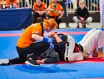 The 16th IKF World Kempo Championships 2019 (Submission Kempo)