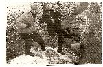 Romania-Amatto Zaharia Seminars 1986-1989