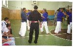 AKKA-Ray Ferrell, Romania 2001