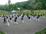 Kancho Soeno Amatto mellitus, 2007 Pine Glade