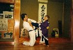Japan 2003