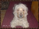 Kancho Soeno Buzau 2007