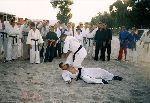 Kancho Soeno-Shidokan, Romania 2003