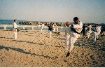 Kancho Soeno-Shidokan, Romania 2003