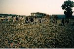 Kancho Soeno-Shidokan, Romania 2003