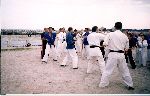 Kancho Soeno-Shidokan, Romania 2003