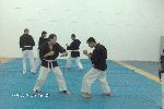 Kancho Soeno-Shidokan, Romania 2006