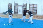 Kancho Soeno-Shidokan, Romania 2006