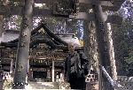 Kempo-Shidokan, Japan 2006