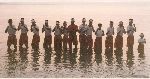 Training Internships 1990-1995