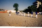 Training stage, Venus 2001