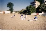Training stage, Venus 2001