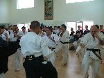 Open Kempo / SHIDOKAN DOJO. Bucharest 2004