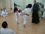 Grade 4 Dan handing Shidokan 2004