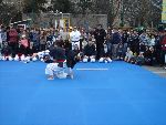 Demonstration 2008 Youth Park