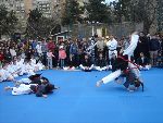 Demonstration 2008 Youth Park