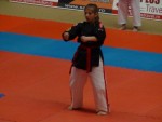 WKC 2013