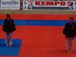 WKC 2013
