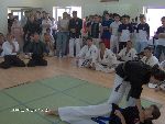 Open Kempo / SHIDOKAN DOJO. Bucharest 2004
