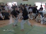 Open Kempo / SHIDOKAN DOJO. Bucharest 2004